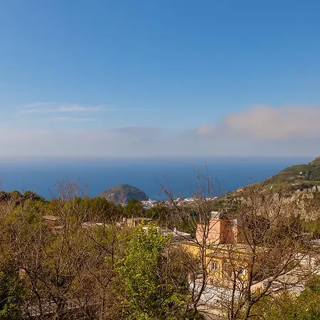 Nitrodi Experience Barano dʼIschia